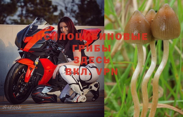 гидропоника Нестеровская