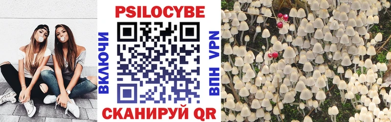 Купить закладки  Сегежа  Галлюциногенные грибы ЛСД 